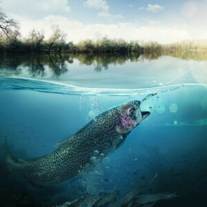 Adobestock 472715520