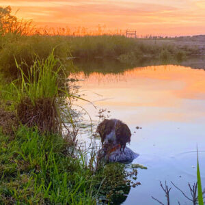 Evans Outdoors mascot