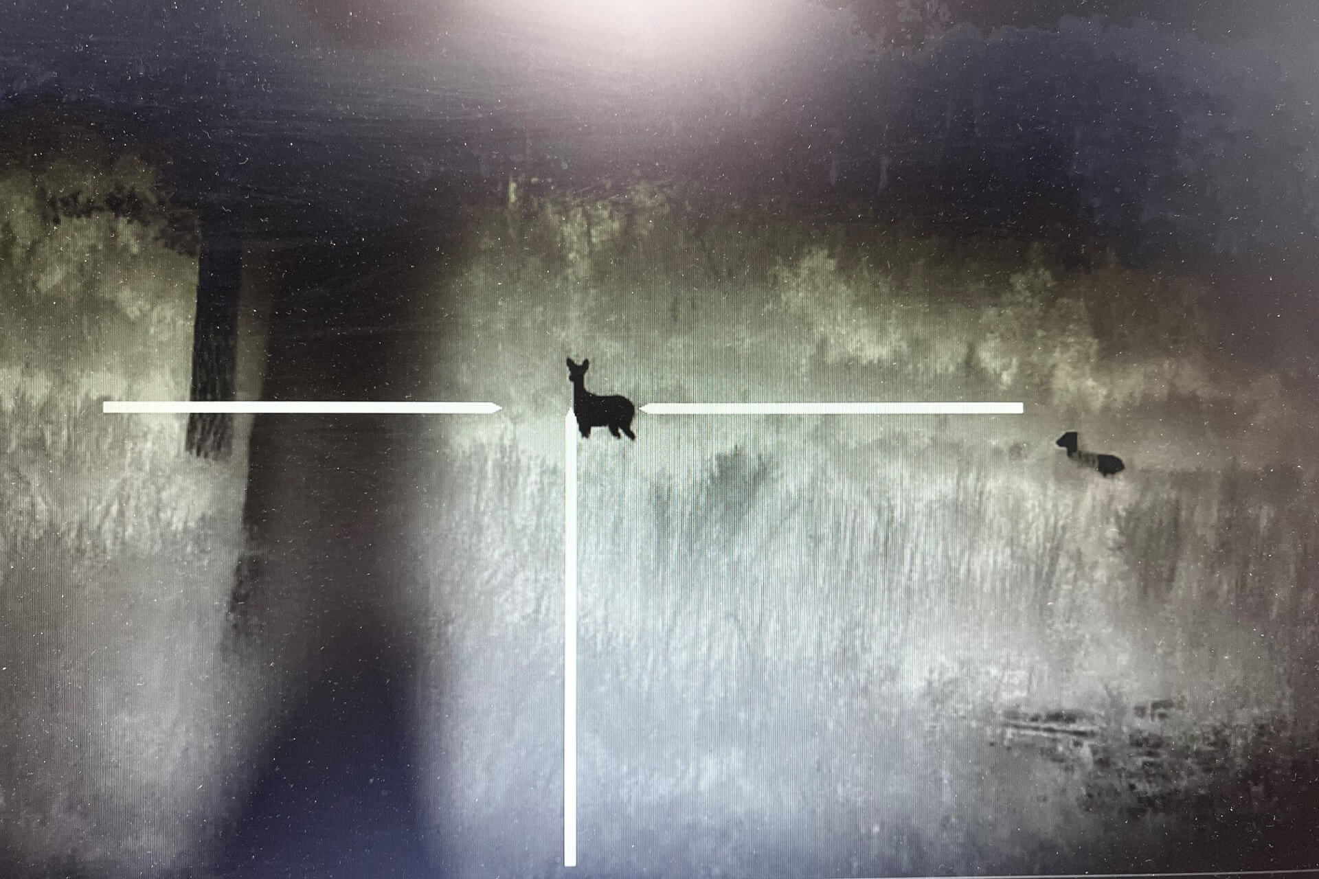 Thermal imaging with Evans Outdoors